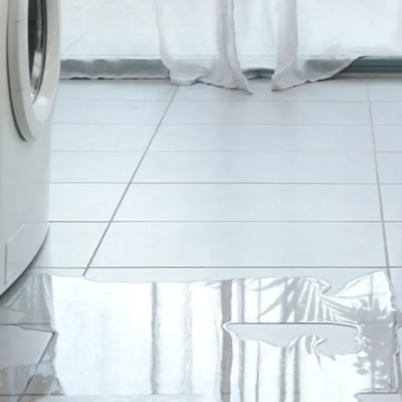 Appliance Leak Cleanup in Burnett County, WI