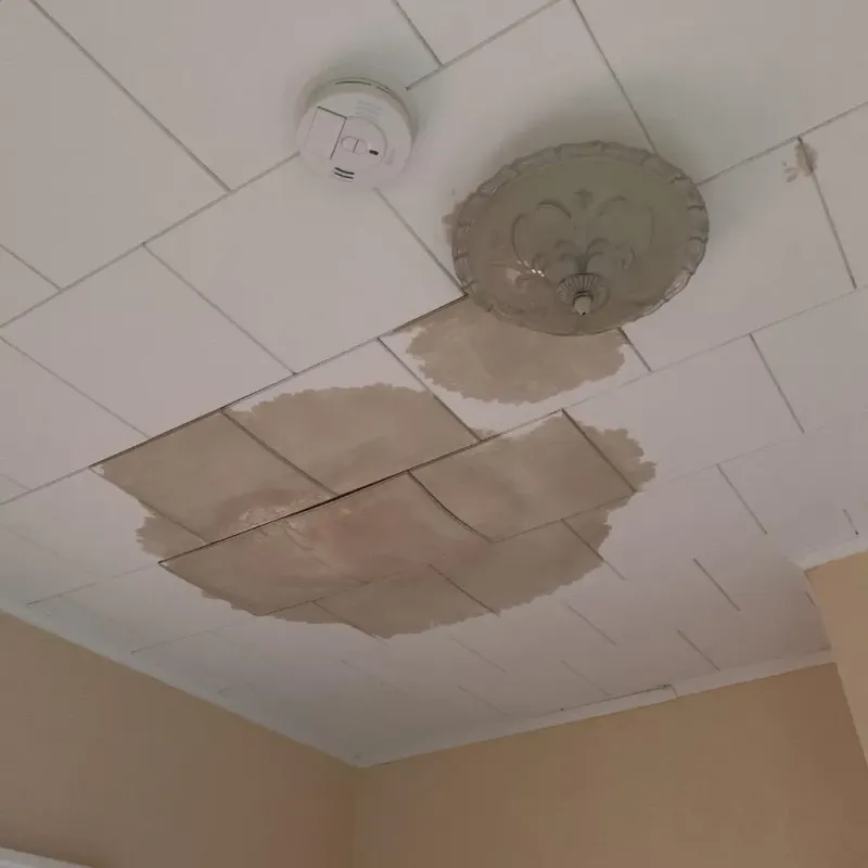 Ceiling Water Damage Repair in Burnett County, WI