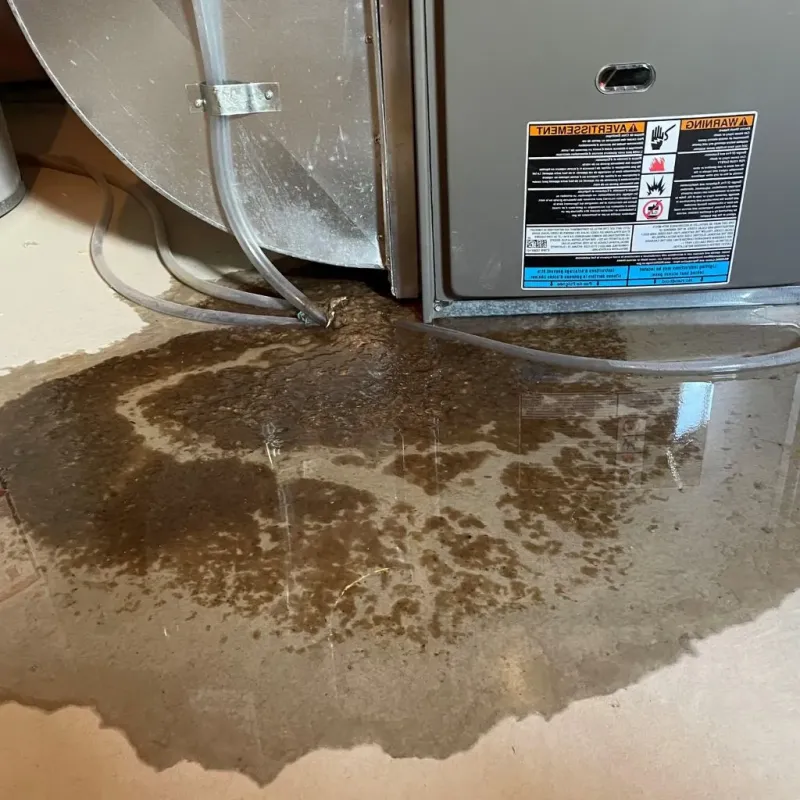 Pipe Burst and Leak Restoration in Burnett County, WI