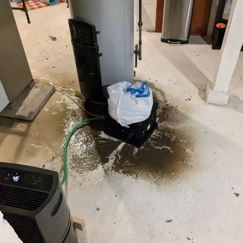 Sewage Backup Cleanup Service in Burnett County, WI